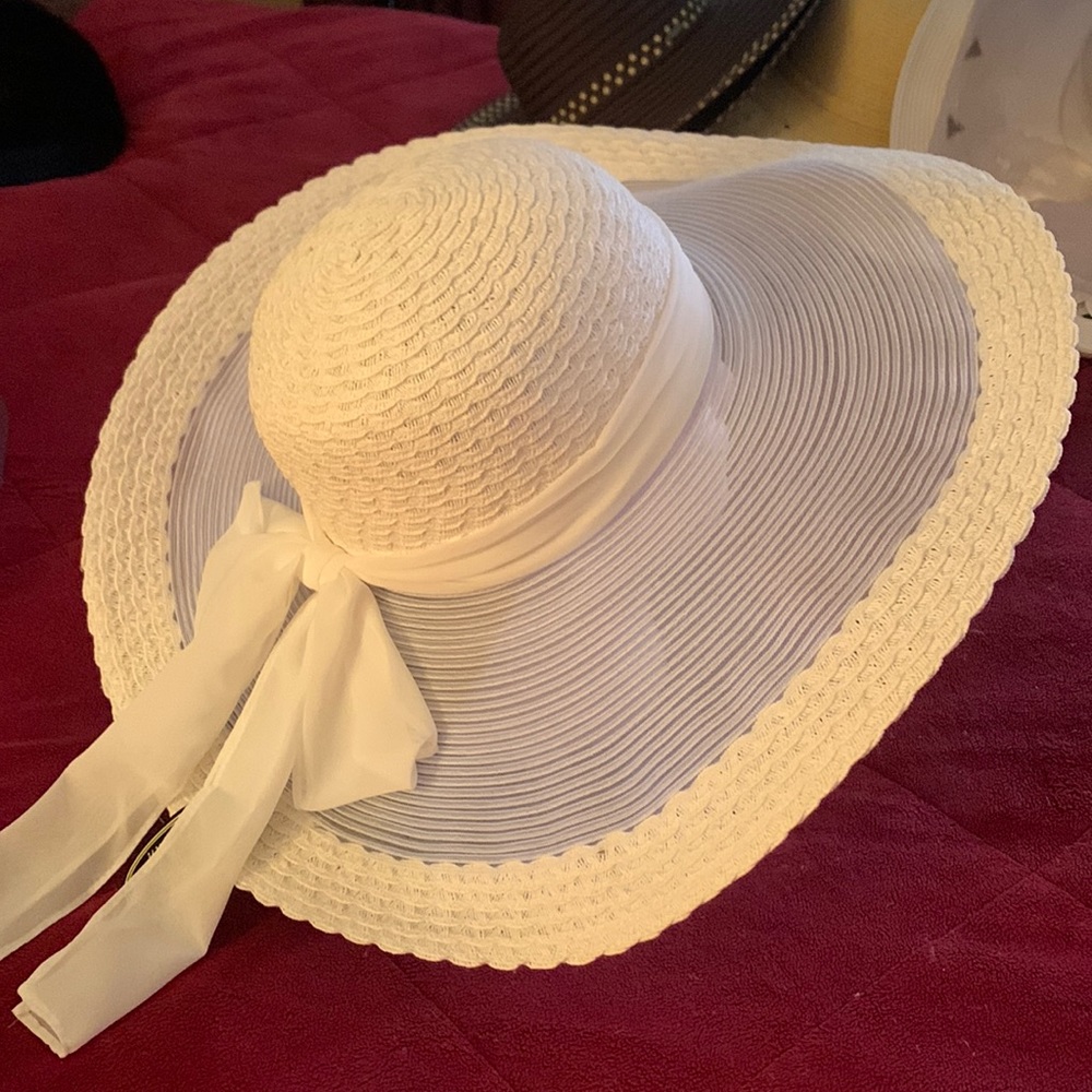 Lovely sheer summer hat.